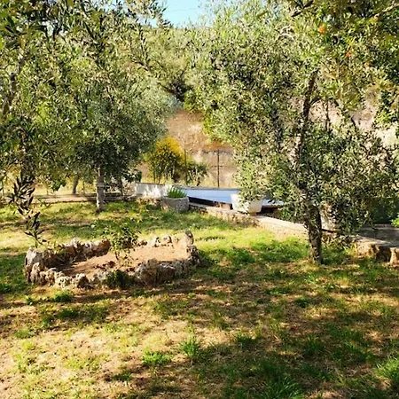 La Tesa Monte SantʼAngelo