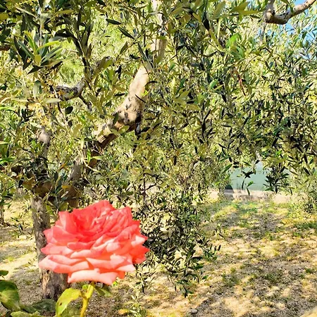 La Tesa